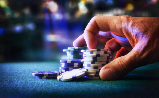 protogel alternatif Terms & Conditions for protogel alternatif